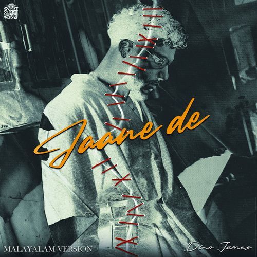 Jaane De