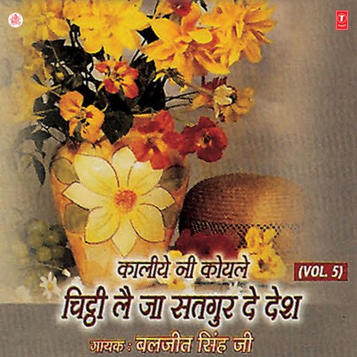 Mere Satgur Mil Gaye Raat Saiyo Ni