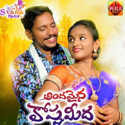 Andamaina Koppu Meeda
