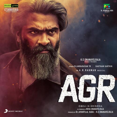 Raavanaasura