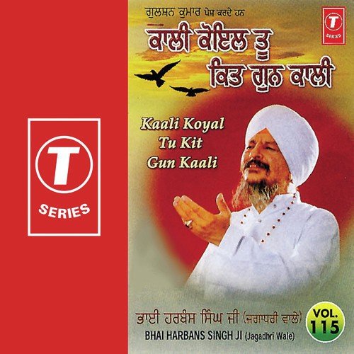 Kaali Koyal Tu Kit Gun Kaali