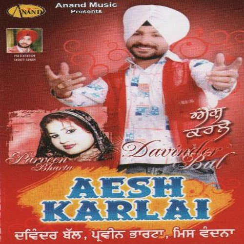 Udeek Sajna