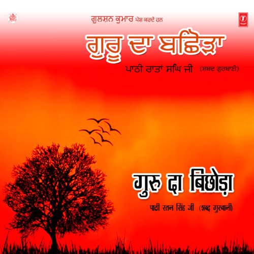 Dil Kale Kanno