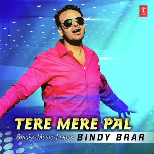 Tere Mere Pal
