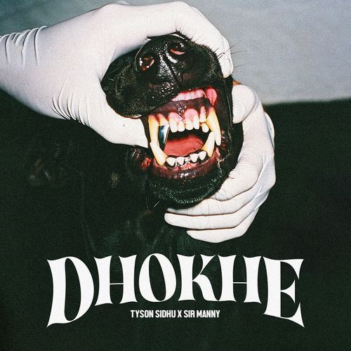 Dhokhe