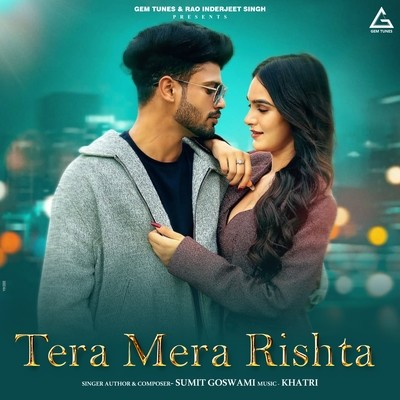 Tera Mera Rishta