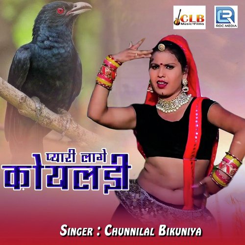 Pyari Lage Koyaldi
