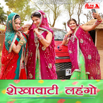 Shekhawati Lehango