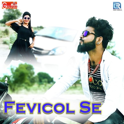 Fevicol Se