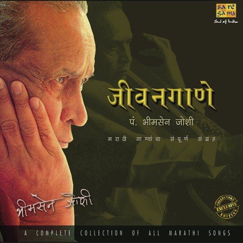 Rasa Barsat Amrit Veena