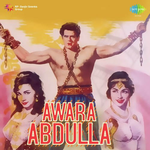 Hum Hai Awara To Kya Hai