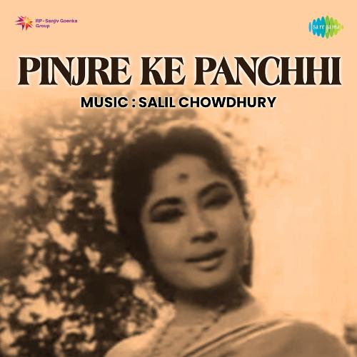 Mere Nain Pakhi Bechare