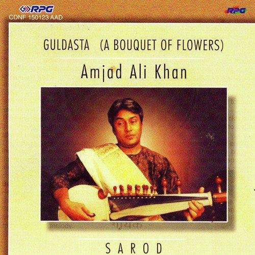 I Feel Your Preference Hansa Dhvani Ustad Amjad Ali Khan
