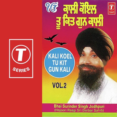 Mat Dekh Bula Veesre