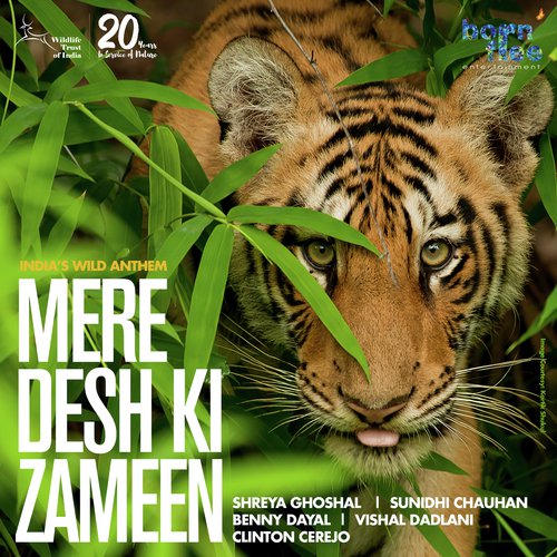 Mere Desh Ki Zameen