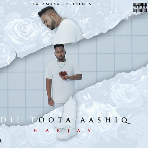 Toota Dil (Dil Toota Aashiq)