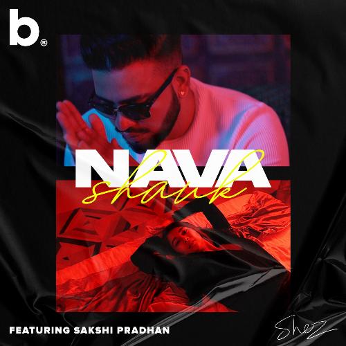 Nava Shauk