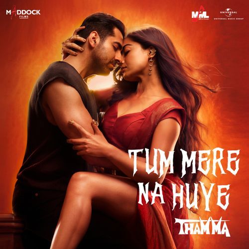 Tum Mere Na Huye