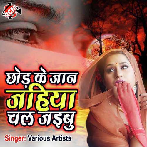 Bhula Gailu