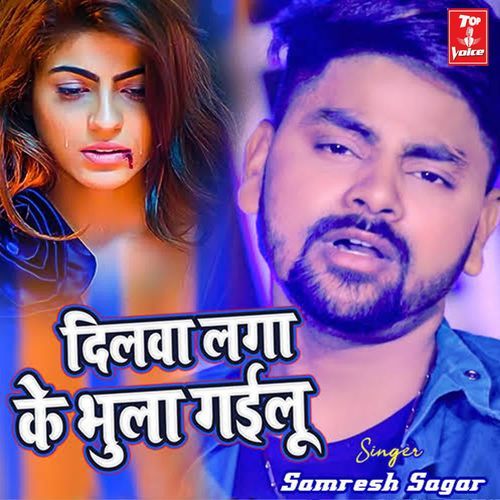 Dilawa Laga Ke Bhula Gailu